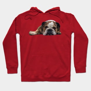 Lazy English Bulldog Hoodie